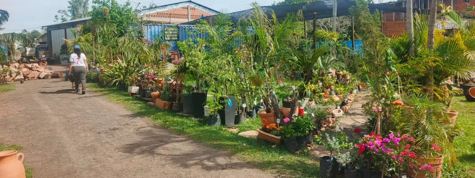 Goldammer, Vivero y Jardineria, Mi Negocio Paraguay, Empresa, más clientes, más confianza, más personas encontraran su negocio, Paraguay